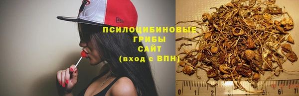 a pvp Армянск