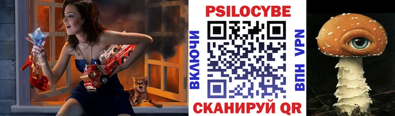 купить наркотики сайты  KRAKEN   Галлюциногенные грибы Cubensis  Байкальск 